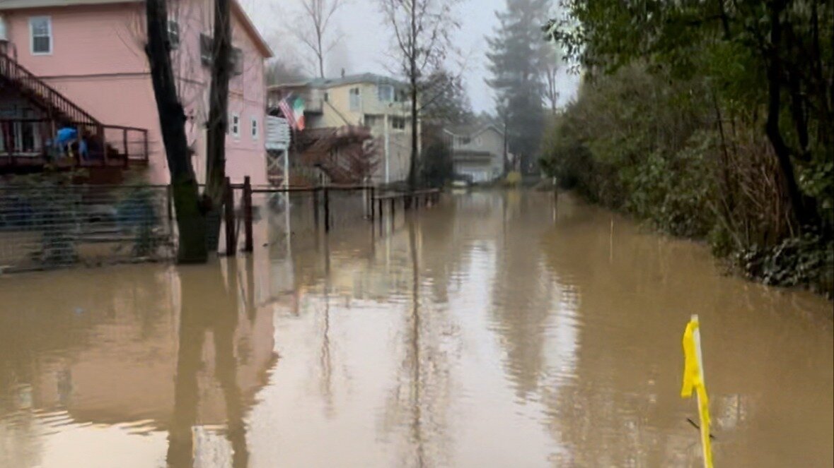 Petition · Initiate a Proposal to Dredge Fife Creek in Guerneville