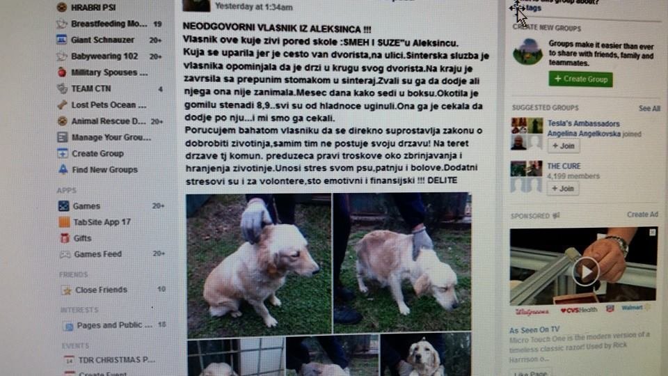 Petition · Obey and better regulate animal cruelty laws as well as laws