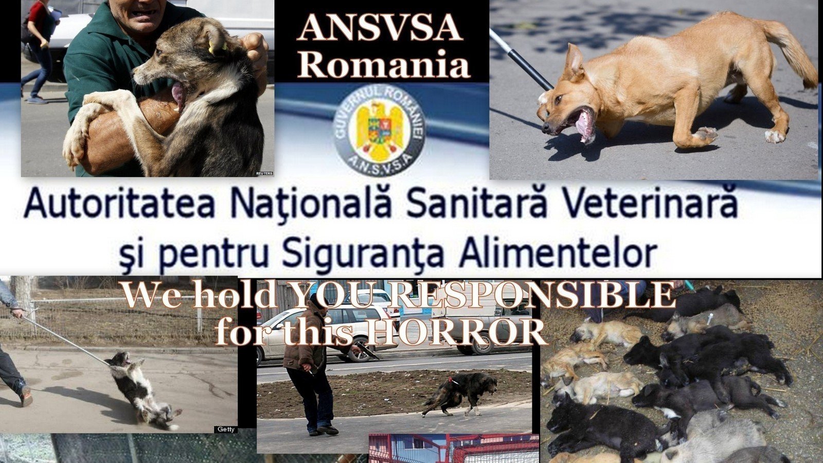 Petition · Suspend the dog catching activity in the entire country and