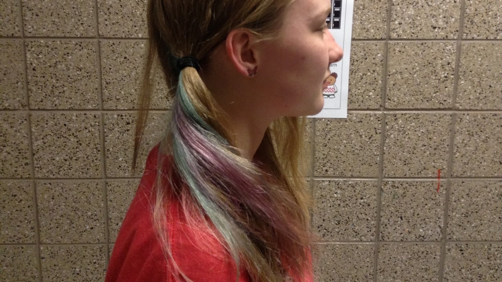 Petition Lakeridge Junior High Colored Hair Dress Code Change Petition Lakeridge Junior High Colored Hair Dress Code Change