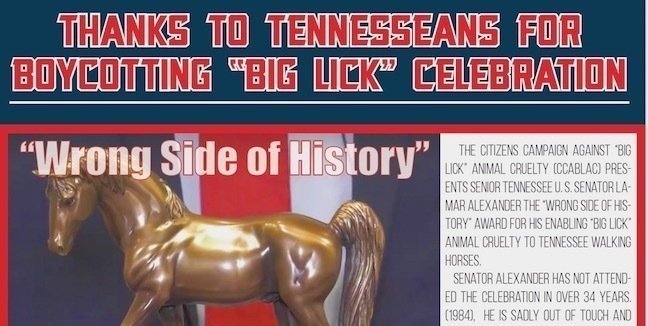big lick u Kat von d gay