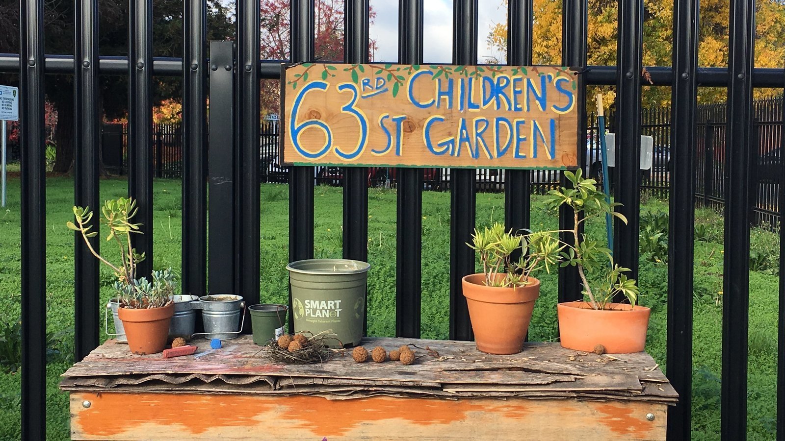 Petition · Establish official Community Garden · Change.org
