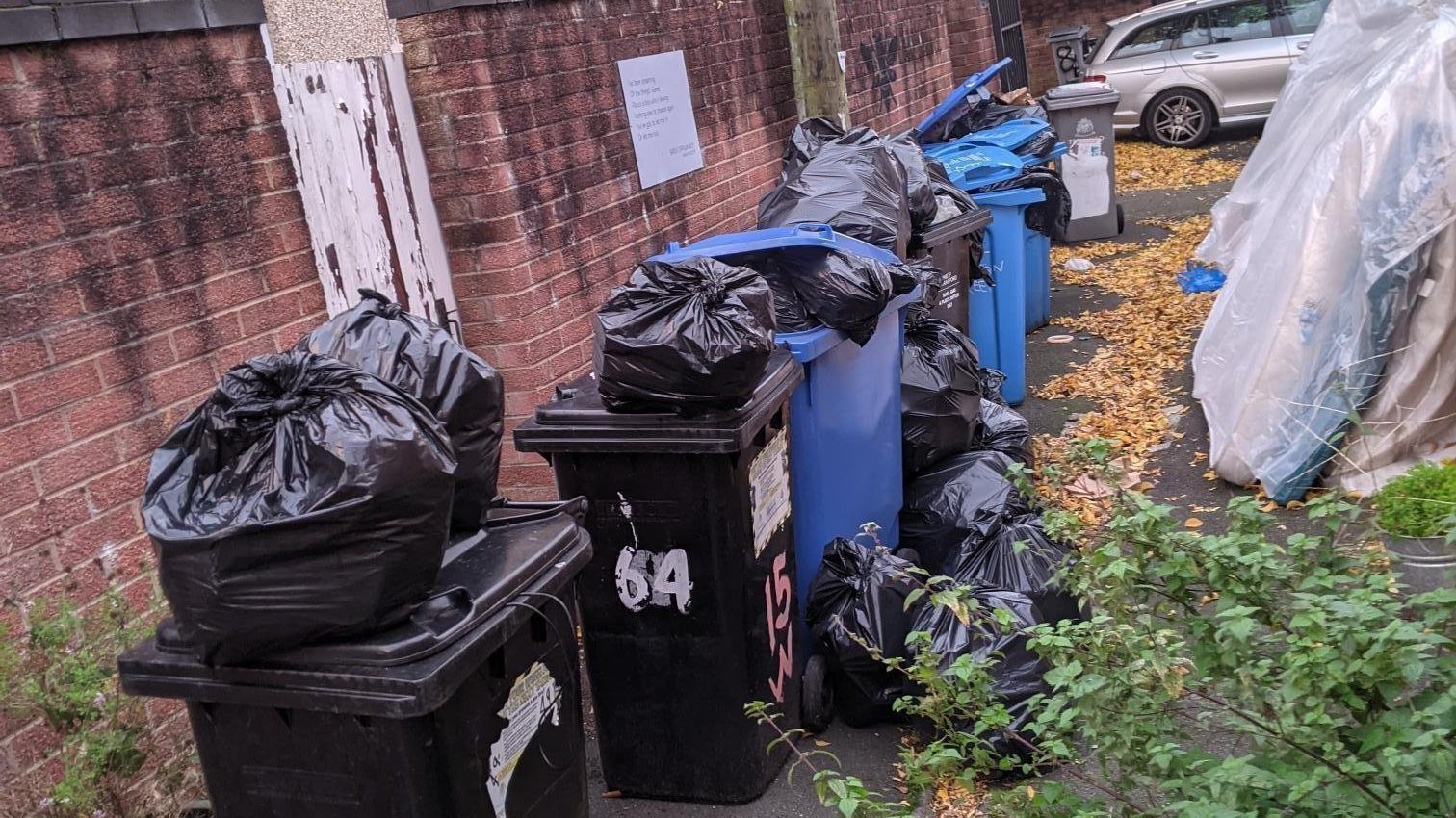 Petition · Improve recycling and general waste bin collection in Old