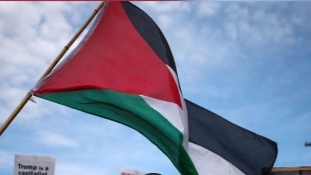 Petition · Black U . S. Christians in Solidarity with Palestine