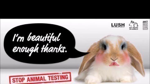 Petition · Stop Testing On Animals, Buy/Make Cruelty-Free Makeup ...