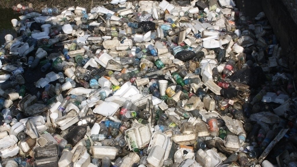 Petition · Ban the use and sale of single use Expandable Polystyrene