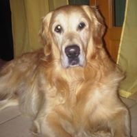 ChangeOrg profile picture for @Did