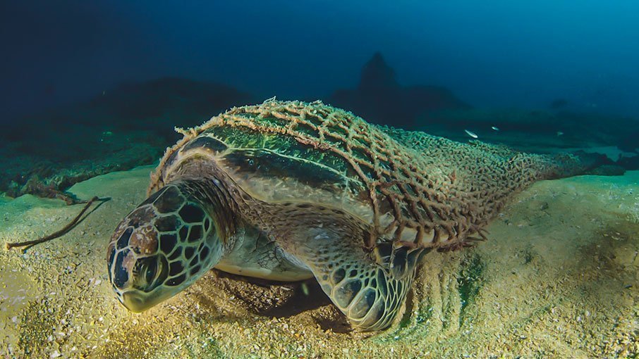 Petition · NOAA Enact regulations that require fisheries to mark