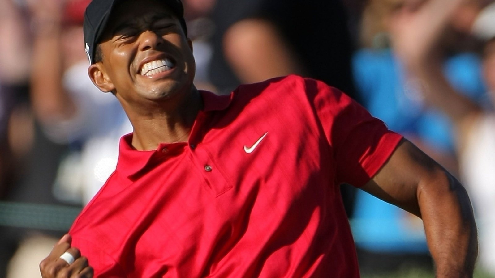 Petition · EA sports bringing Tiger Woods PGA tour back because he won