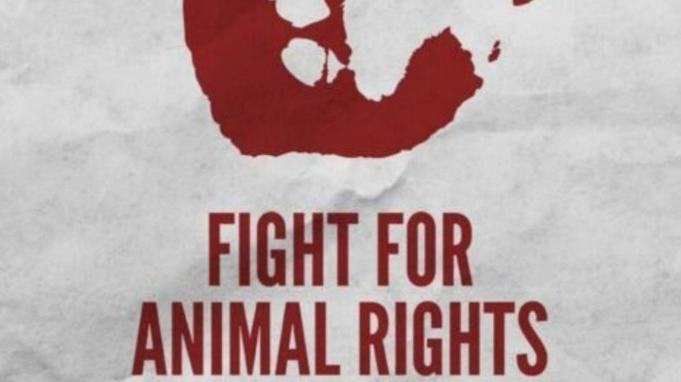 Animals Rights Red Petition · i want stricter and more severe laws enforced in every ...