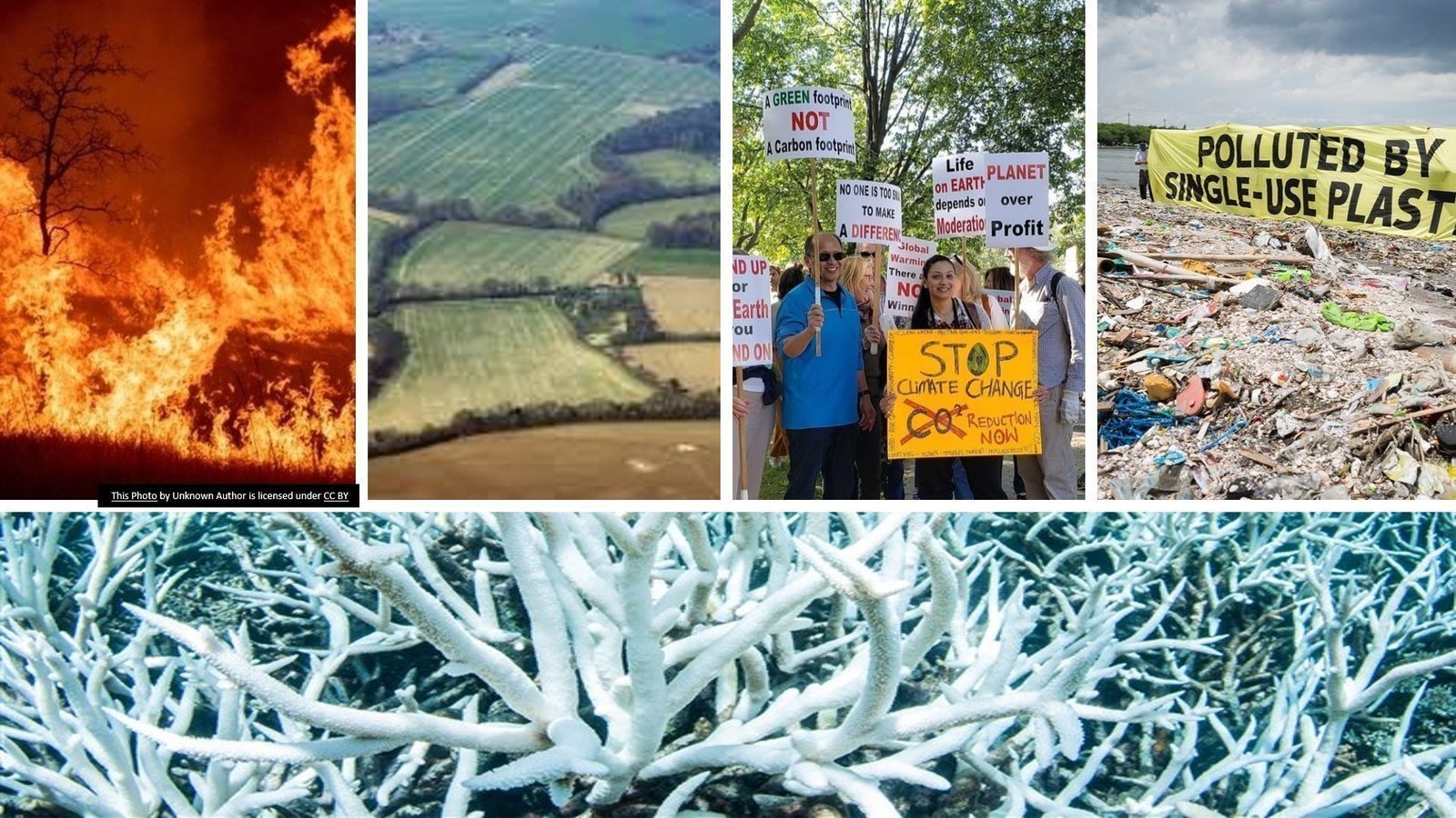 Petition IMPLEMENT CLIMATE CHANGE STUDIES AS A SUBJECT IN ELEMENTARY 