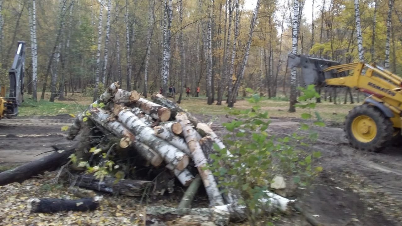 Петиция · Помогите спасти Малаховское озеро - Малаховка, Россия ...