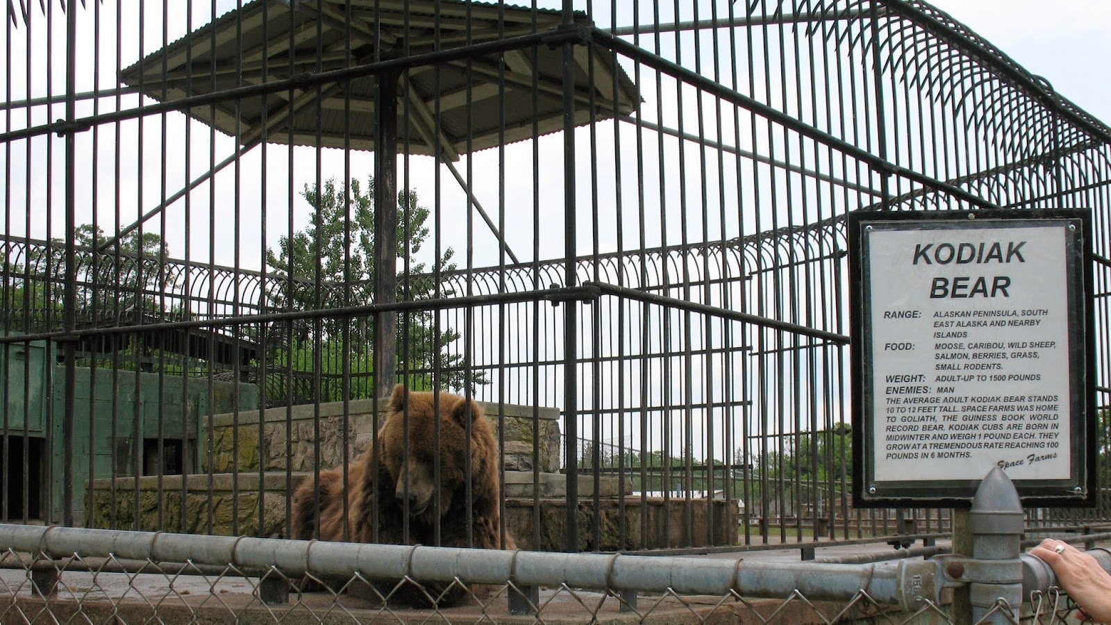 Petition · Shut down Space Farms Zoo United States ·