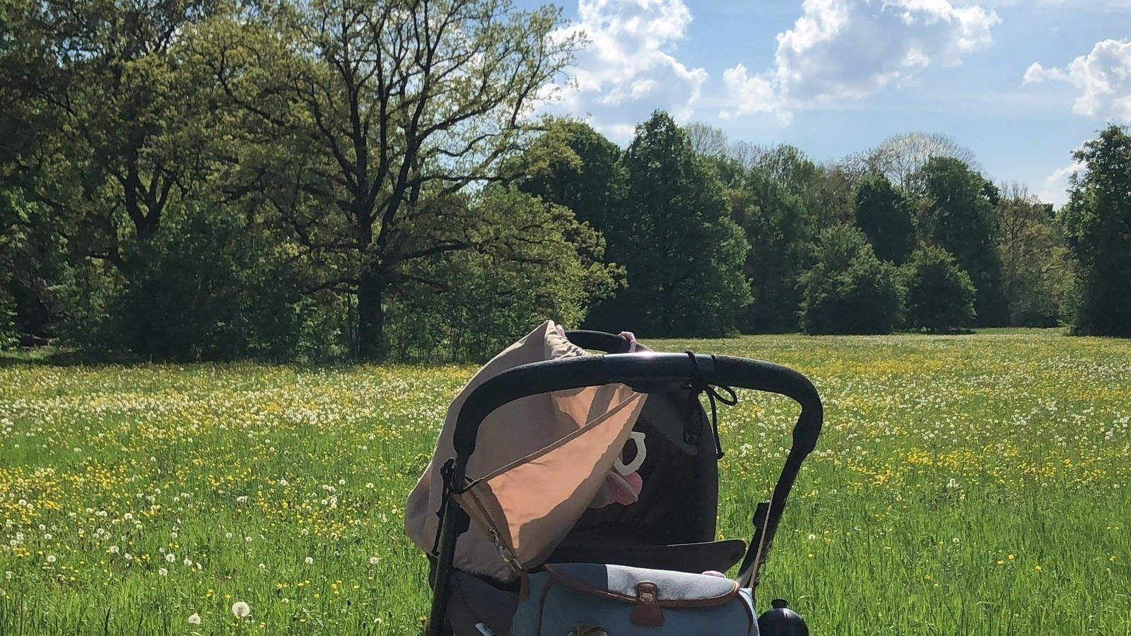 Petition Kindesunterhalt F r Alleinerziehende Deutschland Change petition-kindesunterhalt-f-r-alleinerziehende-deutschland-change