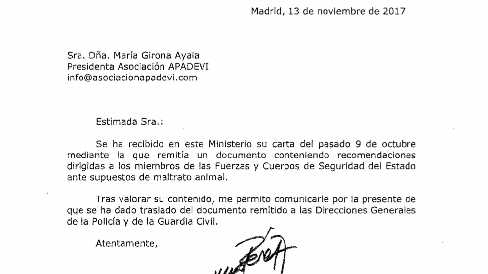 Carta De Opinion Sobre El Maltrato Animal