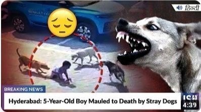 Petition · Justice for innocent kid killed by stray dogs - India