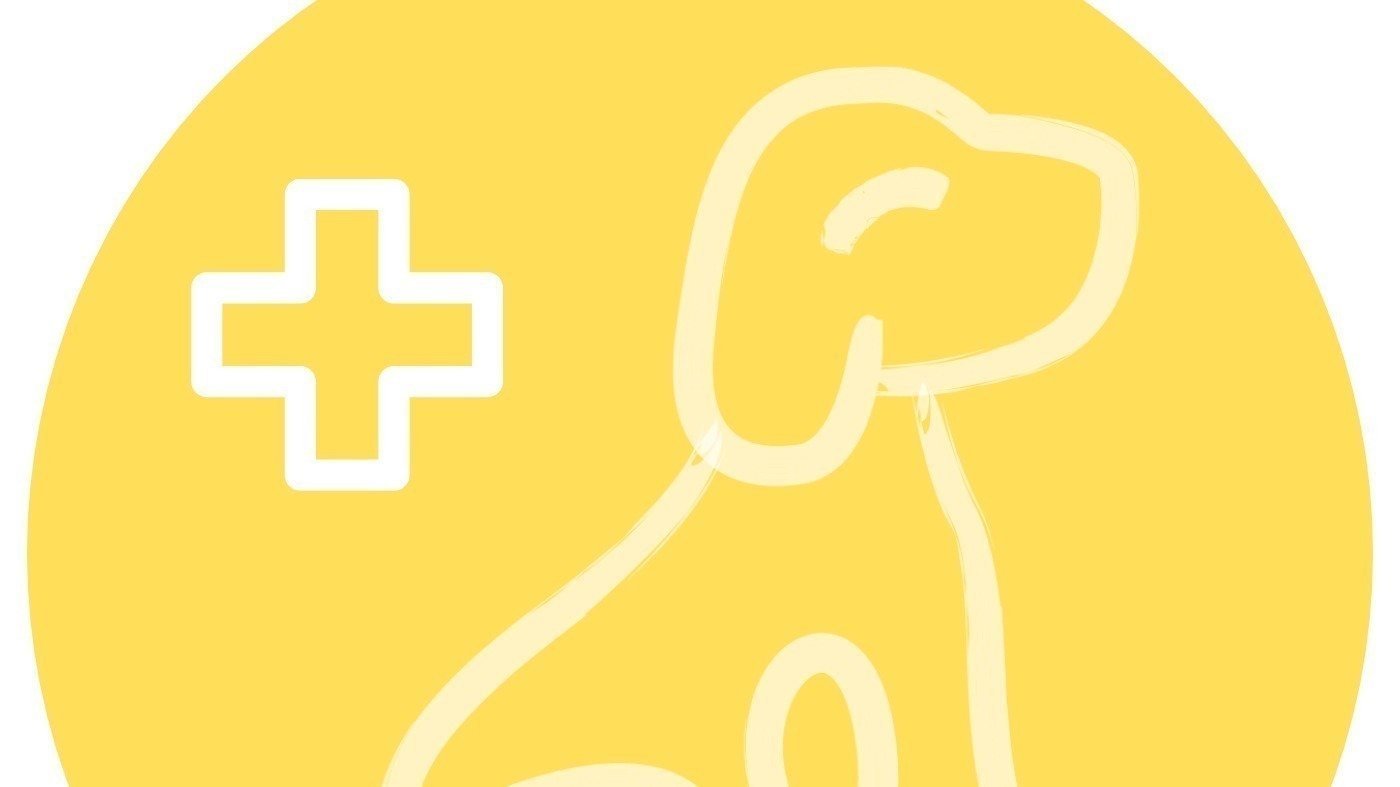 Petition · [REDACTED] Assistance Dogs (UK): issues document ...