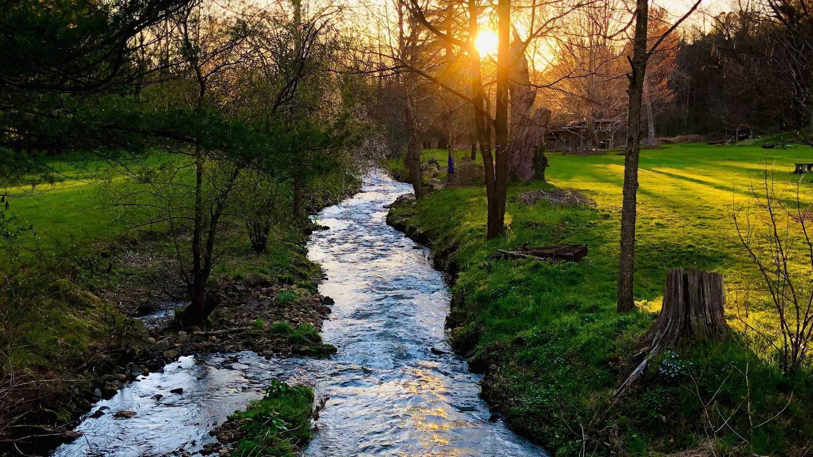 Petition · Save Beaverdam in Asheville, NC Say NO to high density