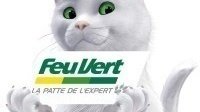 Petition Pas De Conge Chatbatique Pour Le Chat De Feu Vert Change Org