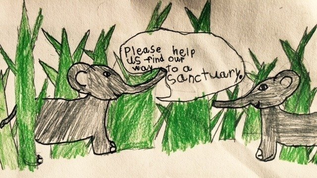 Petition · Send the Woodland Park Zoo Elephants, Chai and Bamboo, to a