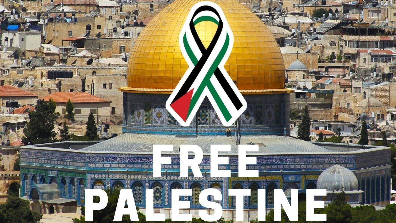 Petition · Free Palestine ·