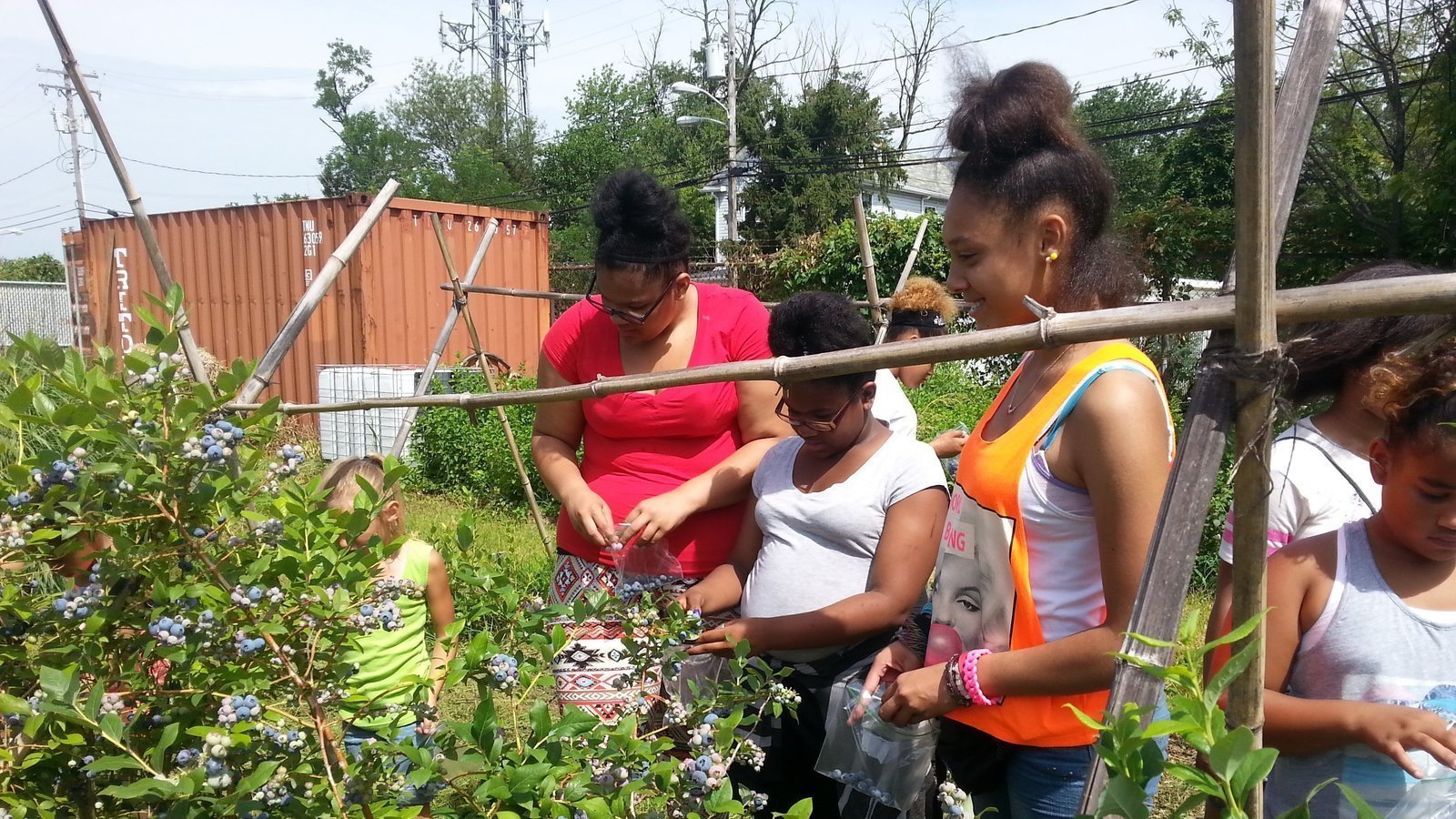 Petition · Tell DPW Don't Displace Filbert Street Garden! ·