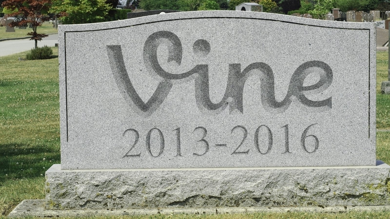 Petition · Twitter, Bring Back Vine Please - United States · Change.org