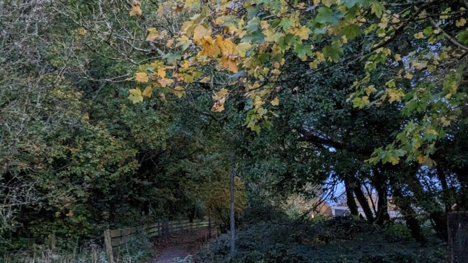 Petition · Save Cockermouth trees and wildlife! Urge Mr Dobie to alter