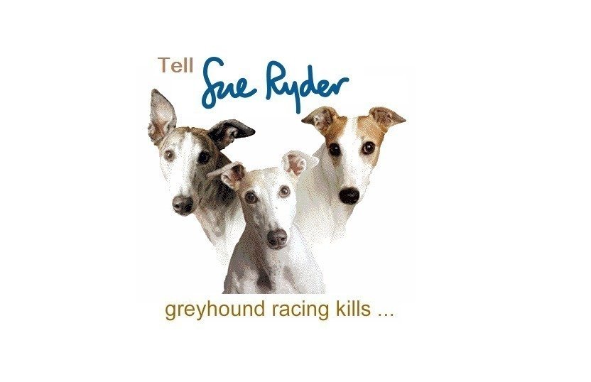 Petition · Please stop using greyhound racing to raise funds, it