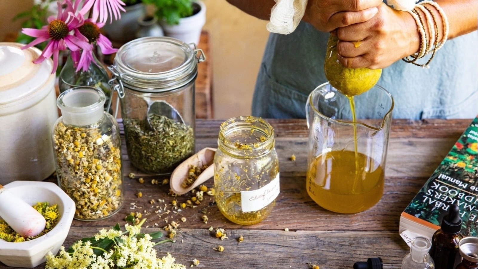 Petition · STOP BILL S . 4090 United States ·