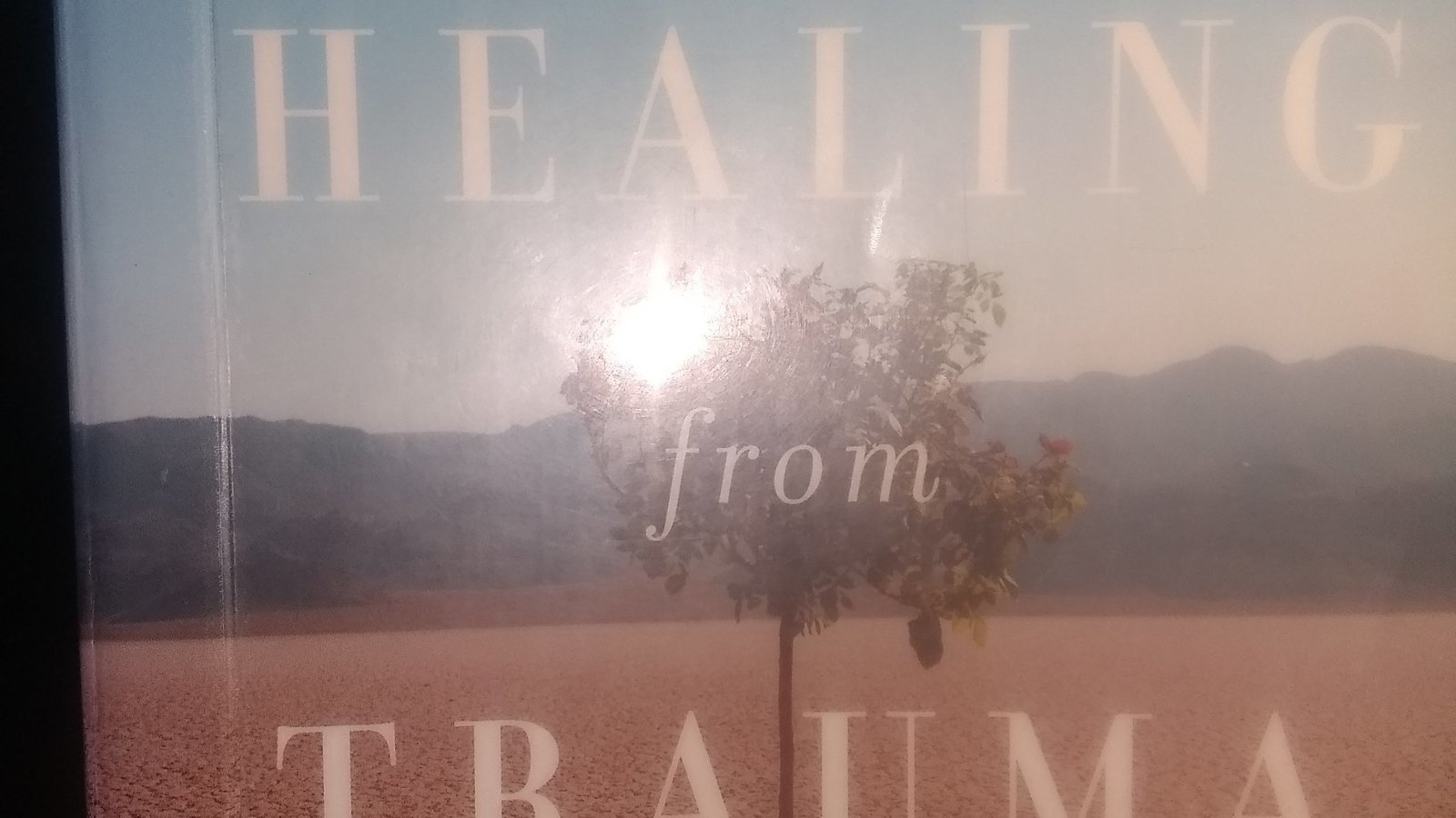 Petition · No statue of limitations on child molestation United