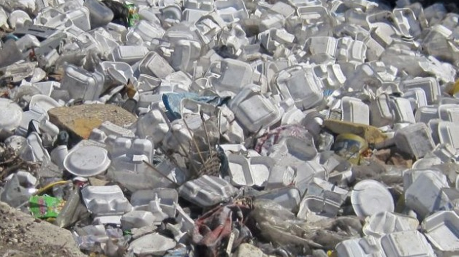 Petition · Stop Styrofoam "Togo" containers ·
