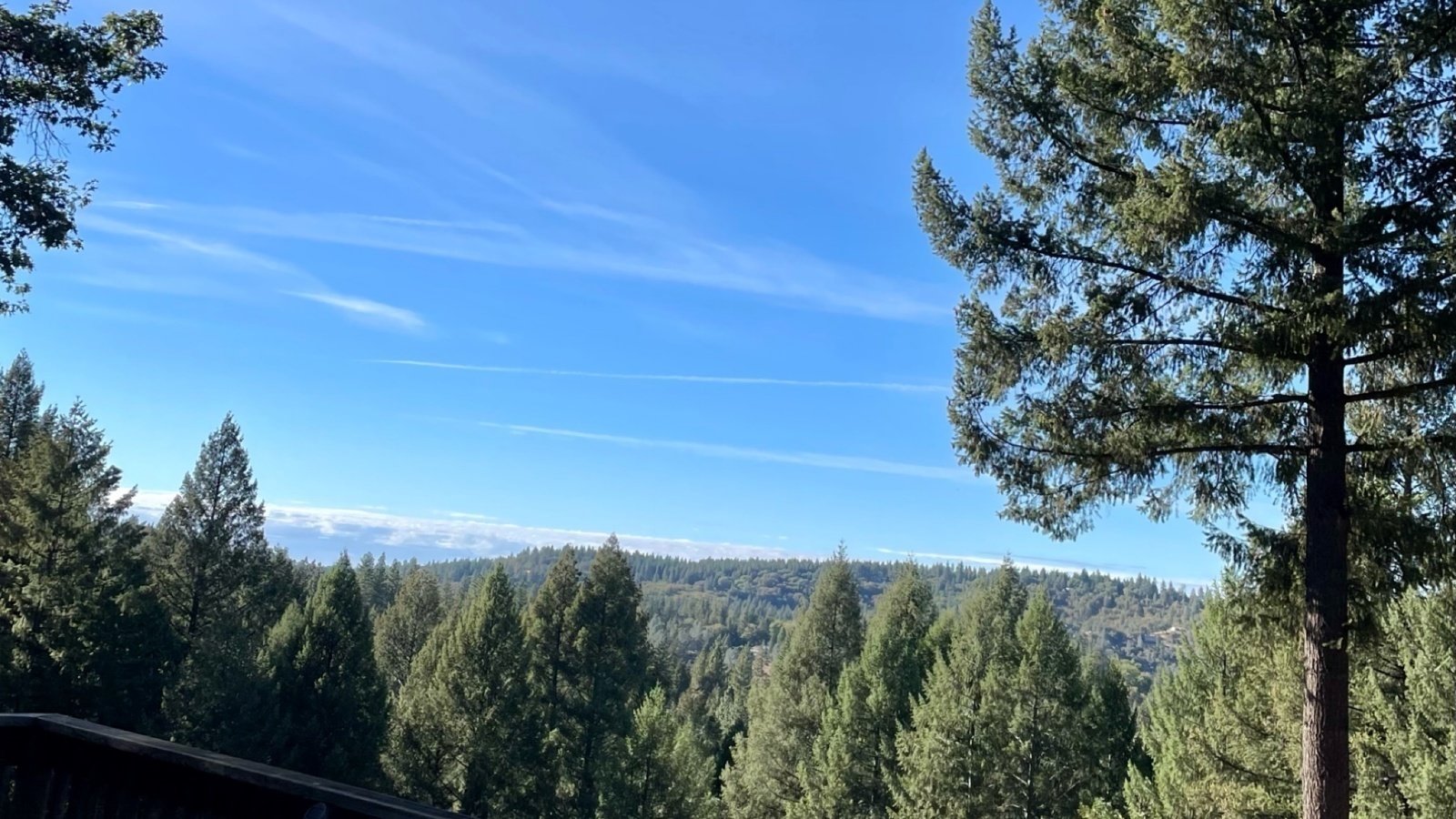 Petition · Short term rentals allowed in SSHOA United States ·