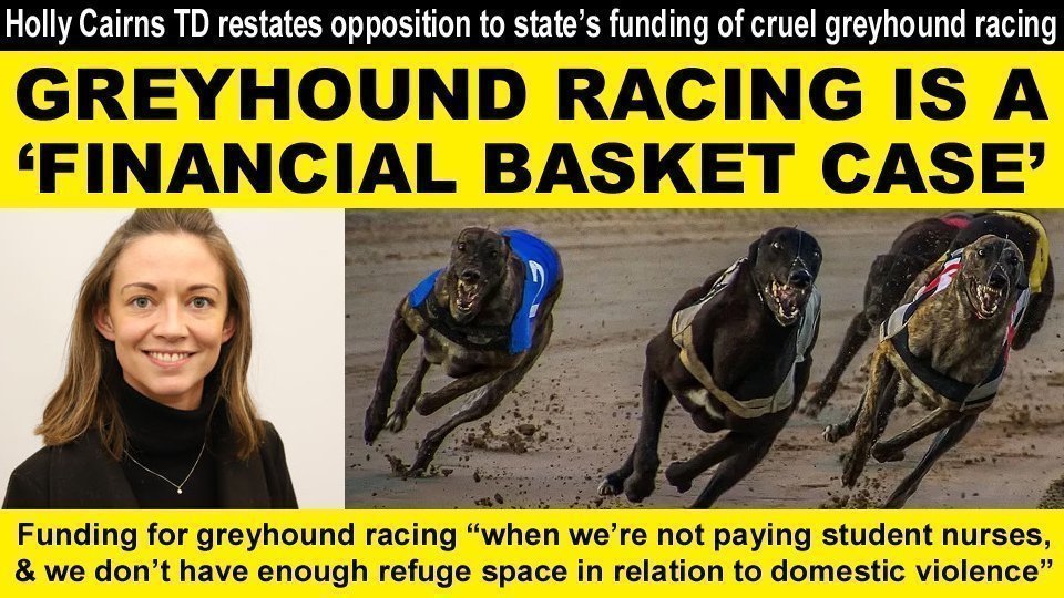 Petition update · Greyhound racing is a “financial basket case” Holly