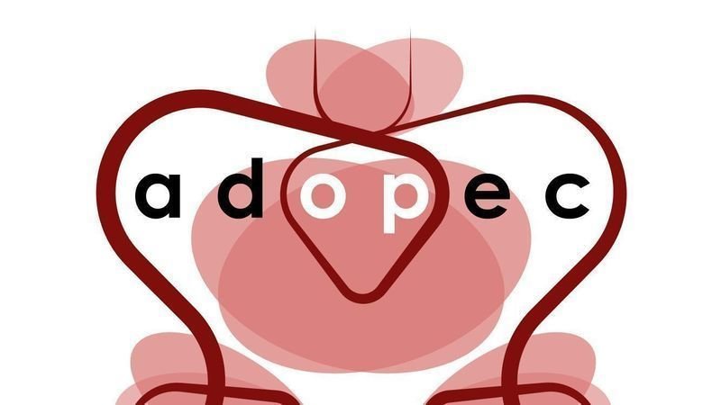 marido de dolor pélvico marido de dolor pélvico