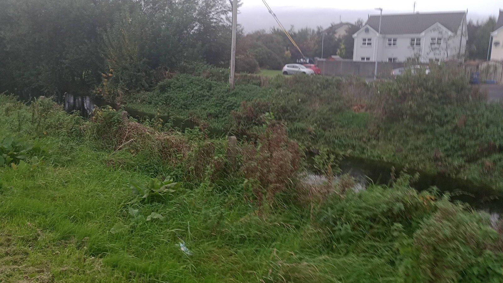 Petition · Improve Safety Measures Along the Greenway River Path in