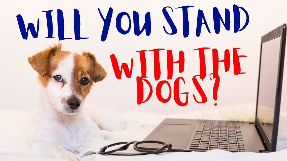 Petition · Stand Up for The Pound Dogs United States ·