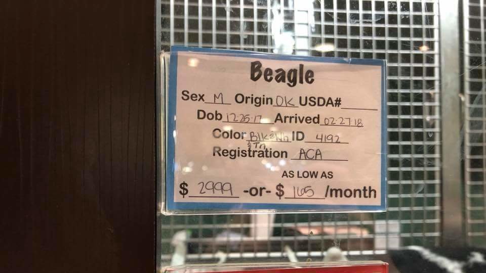 Petition · Eliminate sale of puppies at Puppy Patch Westfield Plaza