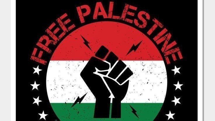 Petition · Urge the Pakistani Government to Publicly Support Palestine