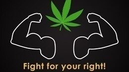 Sign the Petition