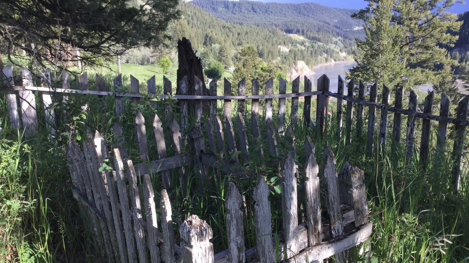 Petition · Include Natural Burial sites at the Cemetery in Williams