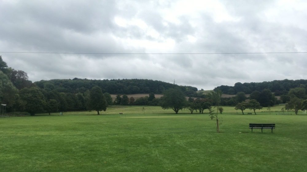 Petition · Protect the wild flower meadows and green park against the