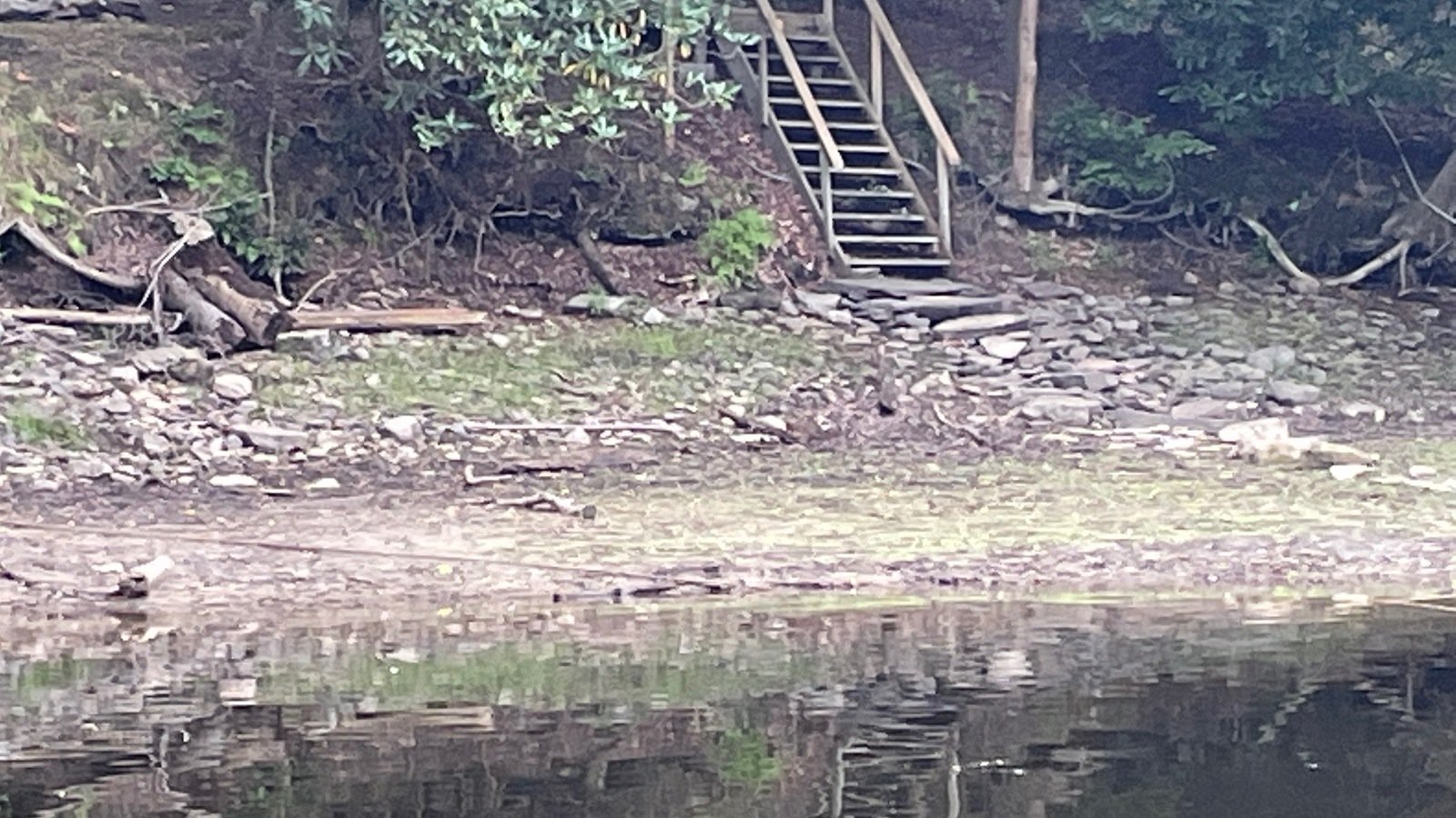 Petition · Lake Wallenpaupack water level during August and September