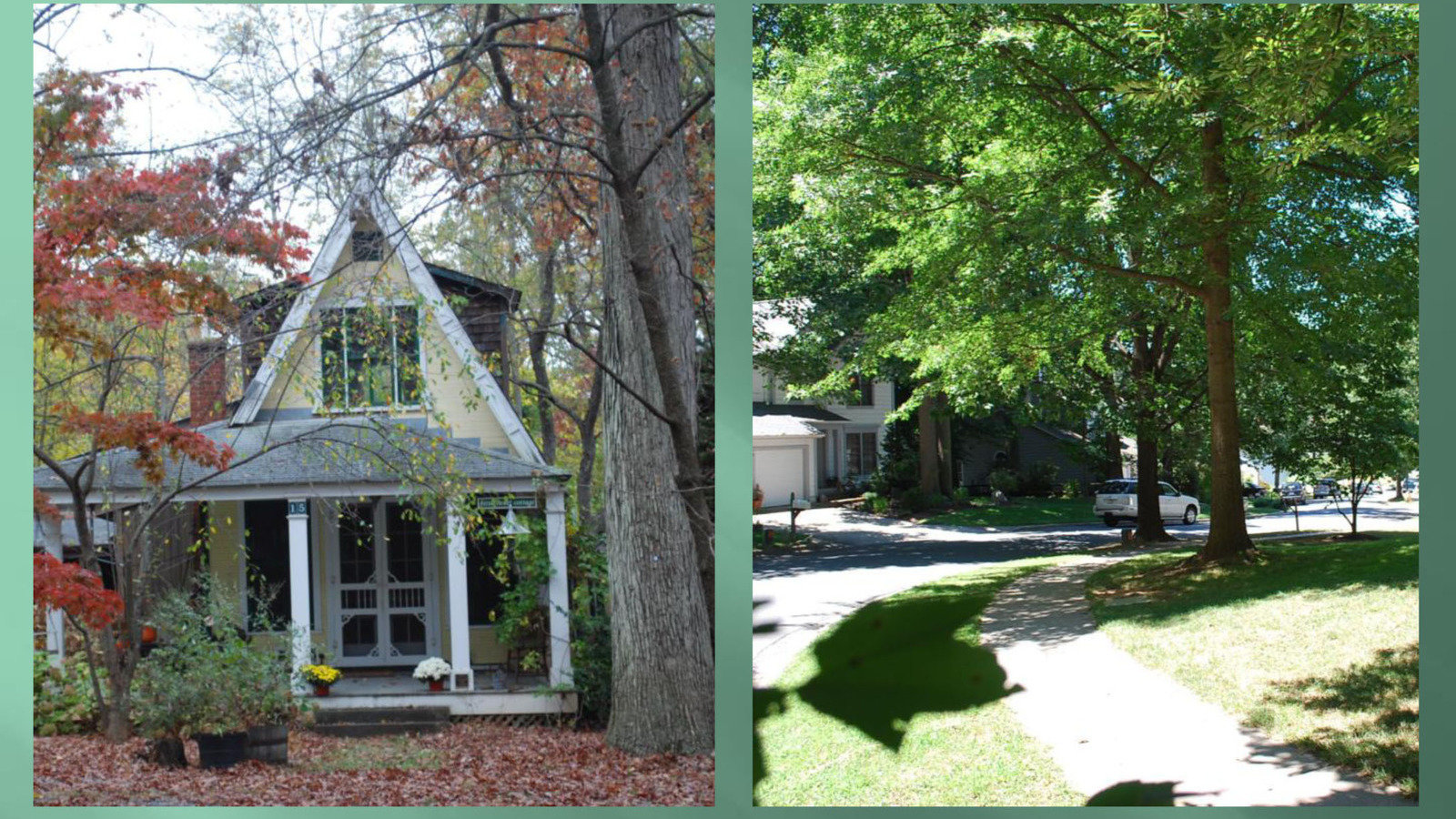 Petition · Trees matter in Montgomery! Sign up to save the trees in our county. United States