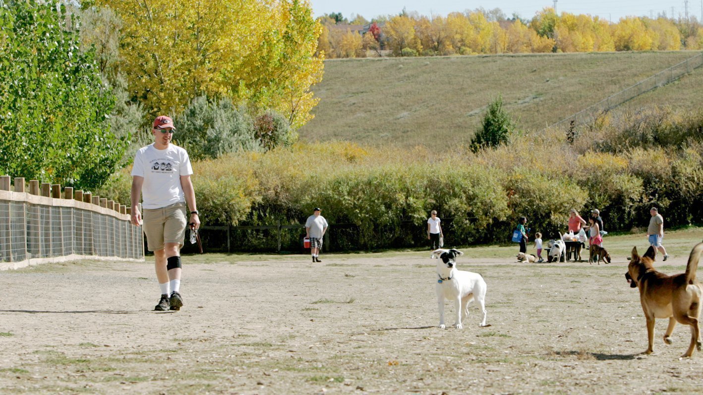 Petition · Public Dog Park for Quincy Washington ·