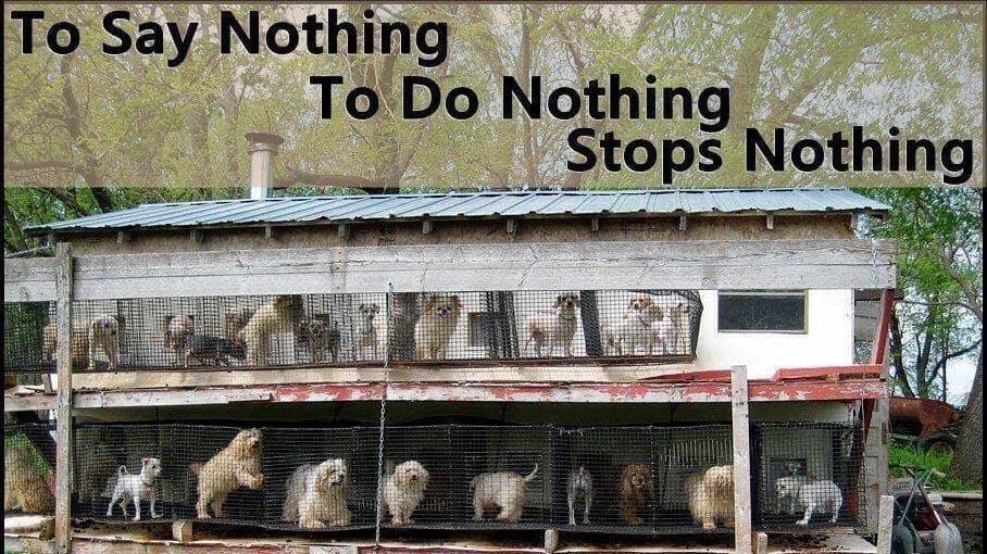 Petition · Stop Petland From Selling Puppies in Old Bridge, NJ United