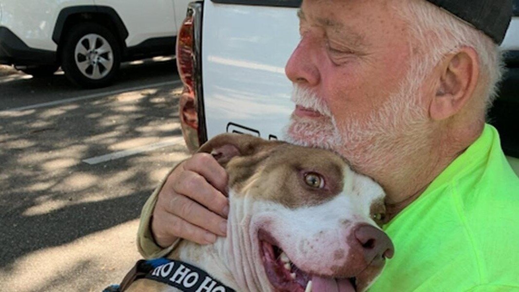 Petition · Stop Retaliation Against 11 Fired Manatee County Animal