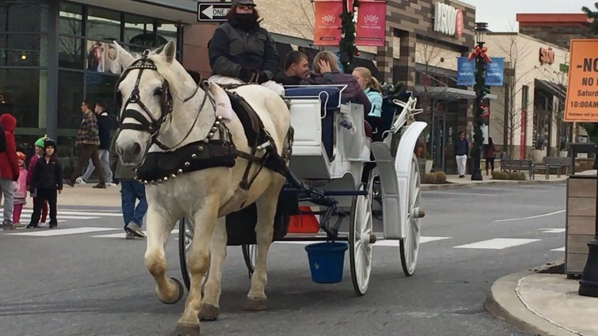 Petition · King of Prussia Town Center Ban Cruel Horse Drawn Carriage