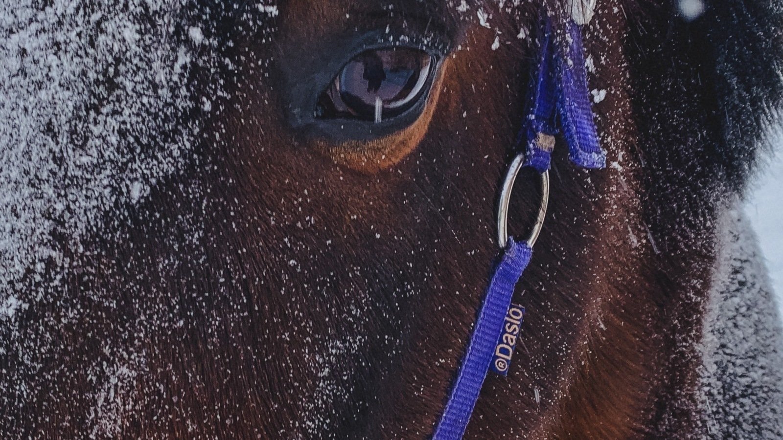 Петиция · ПЕТИЦИЯ о поддержке инструкторов прокатного отделения ...