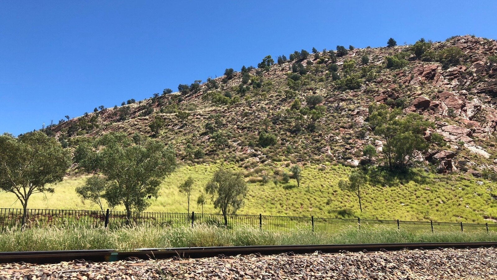 Petition · Buffel Grass - Stop the Invasion - Australia · Change.org